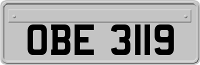 OBE3119