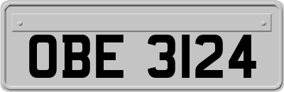 OBE3124