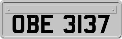 OBE3137