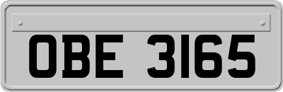 OBE3165