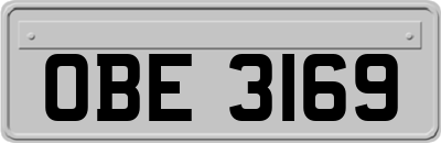 OBE3169