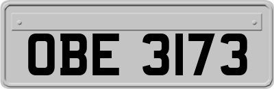 OBE3173