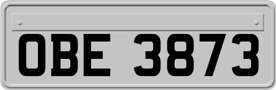 OBE3873