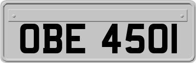 OBE4501