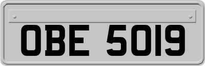 OBE5019