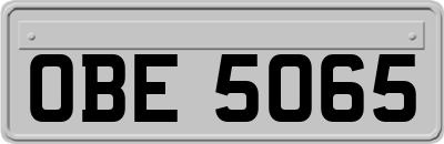 OBE5065
