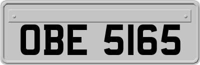 OBE5165