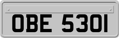 OBE5301