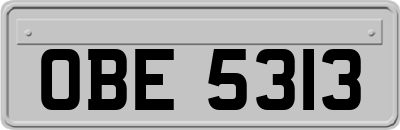 OBE5313