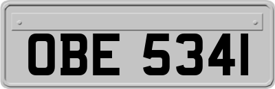 OBE5341