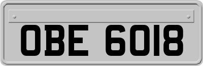 OBE6018