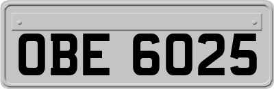 OBE6025