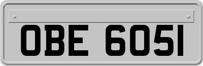 OBE6051