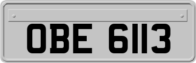OBE6113