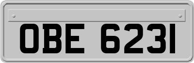 OBE6231