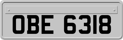 OBE6318