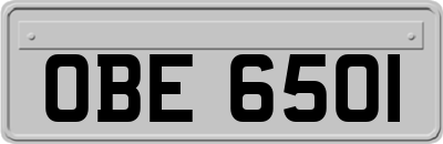 OBE6501