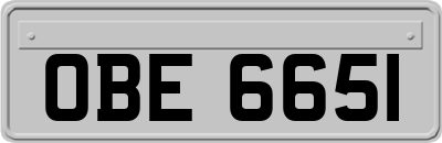 OBE6651