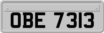 OBE7313