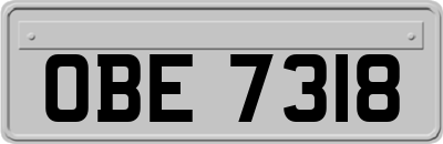 OBE7318