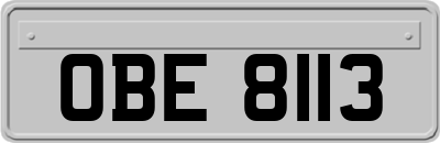 OBE8113