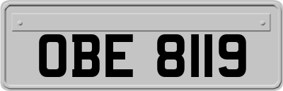 OBE8119
