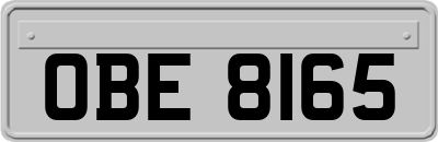 OBE8165