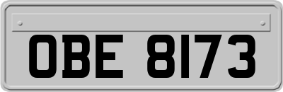 OBE8173