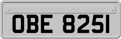 OBE8251