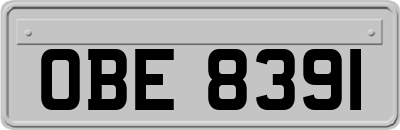 OBE8391