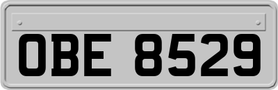 OBE8529