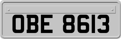 OBE8613