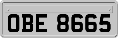 OBE8665