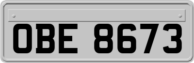 OBE8673