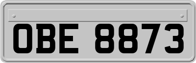 OBE8873