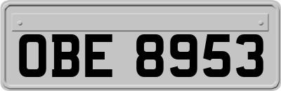 OBE8953
