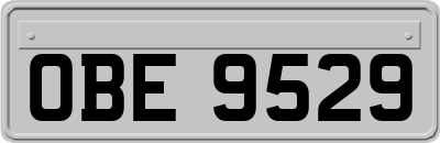 OBE9529