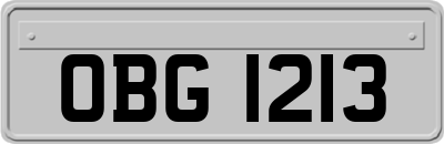 OBG1213