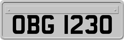 OBG1230