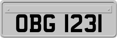 OBG1231