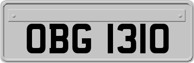 OBG1310