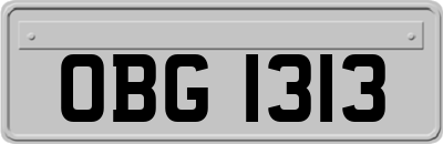 OBG1313