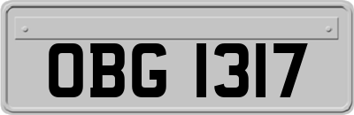 OBG1317