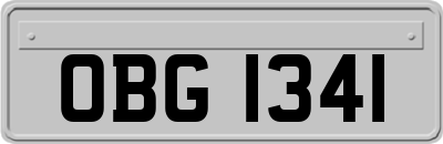 OBG1341