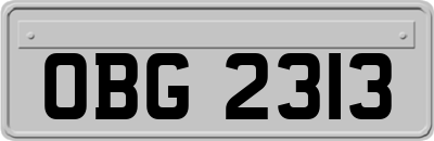 OBG2313
