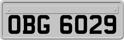 OBG6029