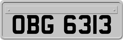 OBG6313
