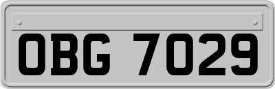 OBG7029