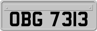 OBG7313