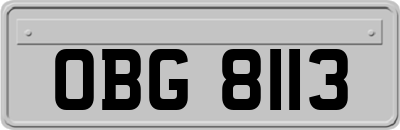 OBG8113